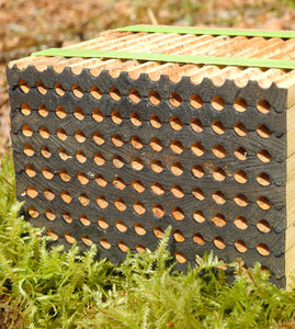 Leafcutter bee nesting block - 9 Tray - 104 holes