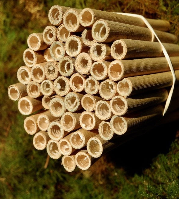 Lack Reeds Tubes, liners & reeds – Mason Bee Central